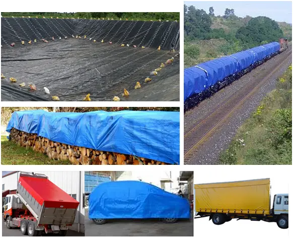 HDPE Tarpaulin Manufacturer in Gujarat